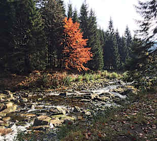 Wandern Spindlermühle
