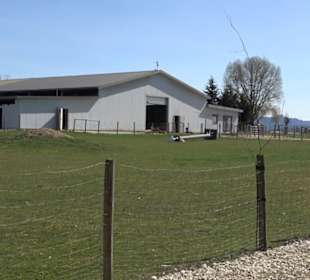 Alpakafarm Schaber
