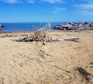 Lagunen