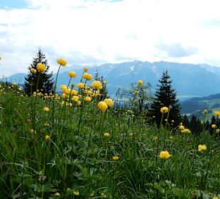 Wandern Rimsting