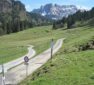 Im Schönenbacher Tal/Rundwanderweg