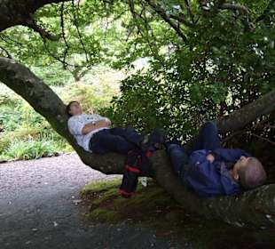 Im Garten Eden