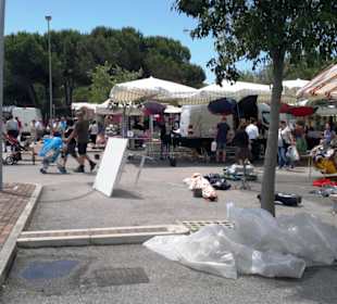 Markttag am Dienstag 7-12 Uhr