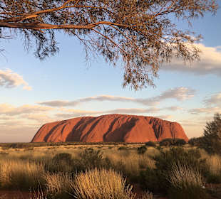 Wandern Yulara