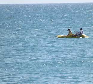 Personal vom Parasailing mit Hund 