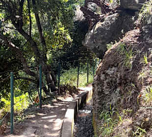Weg im Schatten