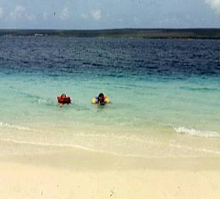 Die kleinen Wasserratten