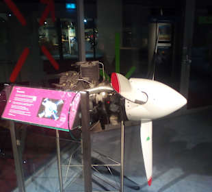 Deutsches Museum Bonn in Bonn