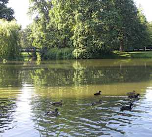 Neues Rathaus am Maschpark