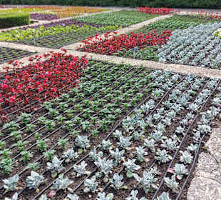 Umgebung + Botanischer Garten Baltschik + Schloss