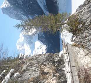 Dachsteinblick mit Gosausee