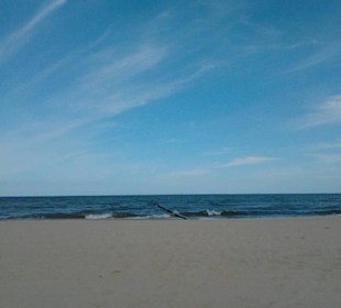 Am Strand von Heringsdorf