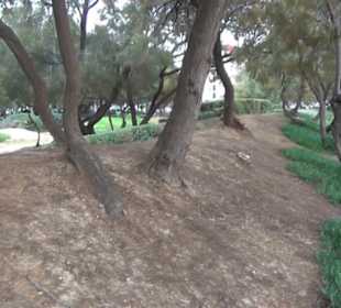 Carretera Del Arenal Balneario