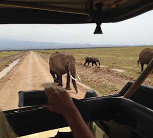 Tempo Mama klärt die Lage