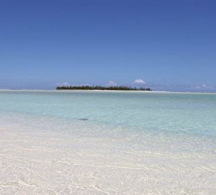 Auf der Sandbank vor Honeymoon Island