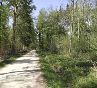 Wanderweg Hochgehwachsen