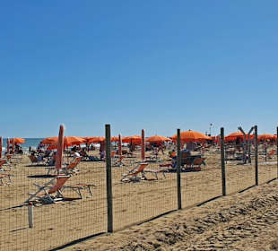 Hundestrand Liegenbereich