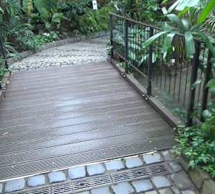 Tropicarium - Feuchte Tropen