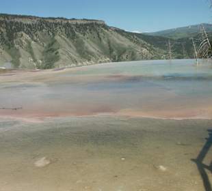 Gayser im Yellowstone