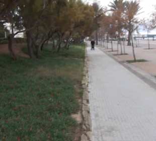 Carretera Del Arenal Balneario