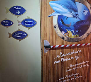 Sealife Aquarium 186-191