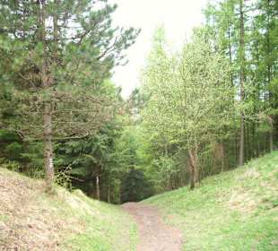 Der steile Auf-/Abstieg