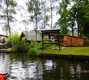 Auf der Kahnfahrt durch den Spreewald