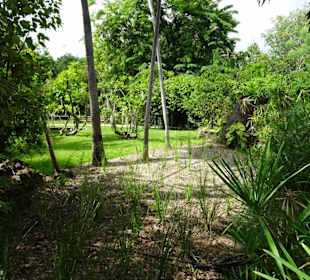 Rundgang durch den Jardin d´Eden