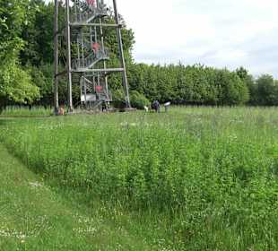 Vogteiturm Loßburg