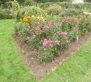 Kurpark