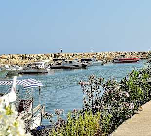 Hafen Evrenseki