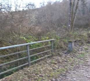 Schönbuch Schaichtal