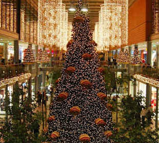 Der schönste Weihnachtsbaum für mich