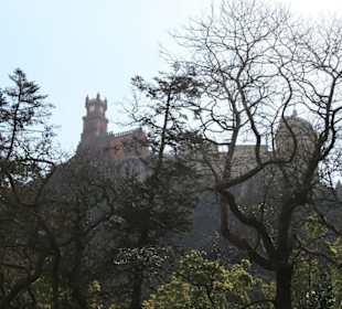 Sintra droga do palacu