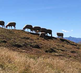 Wandern