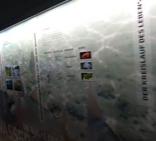 Tierpark Hellabrunn - Fische