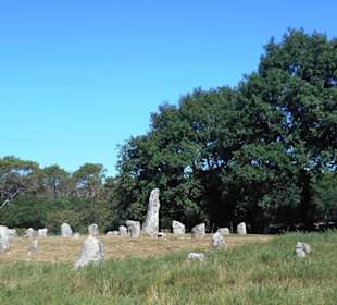 Hinkelstein-Feld Carnac