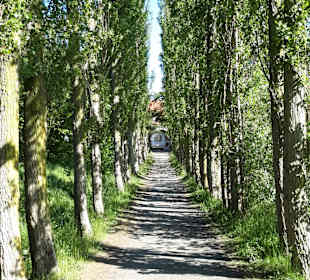 Wandern Diedrichshagen 