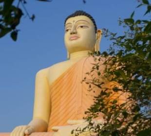 Nahe gelegener Tempel