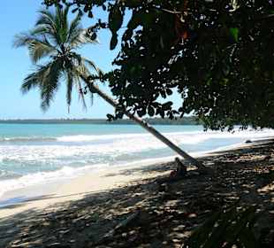 Strand im Nationalpark Cahuita