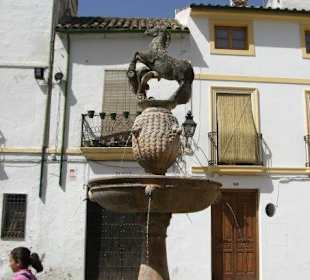 Paseo por la judería y patios de Córdoba