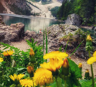 Wandern Rio di Pusteria / Mühlbach