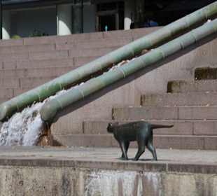 Modernes Stadtviertel