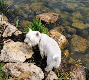 Küstenbereich Steinsicherung