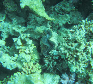 Tolle unterirdische Welt