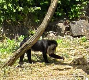 Zoo & Botanischer Garten Pilsen