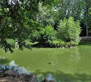 Spaziergang durch den Tierpark Röhrensee