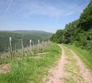 Impressionen Kräuterweg in Assmannshausen