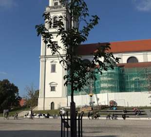 Hildegardplatz