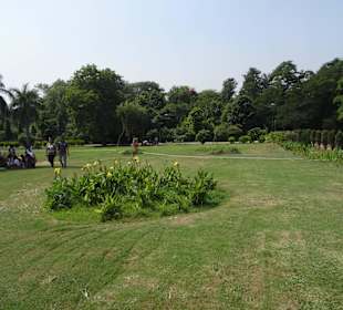 Im Lodi Garden unterwegs